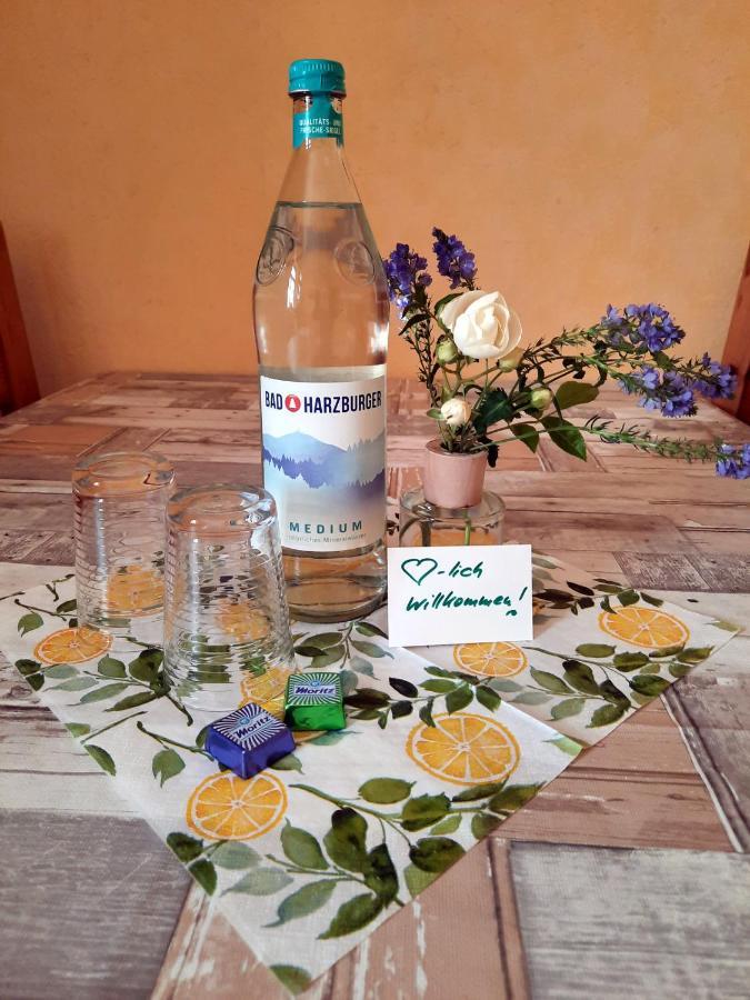 Ferienwohnung Zur Alten Post Lutzen Экстерьер фото
